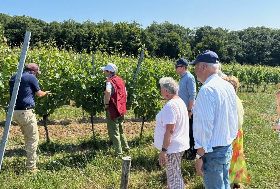 VENEZ DECOUVRIR UN VIGNOBLE, UN CHATEAU AVEC UN DEJEUNER !